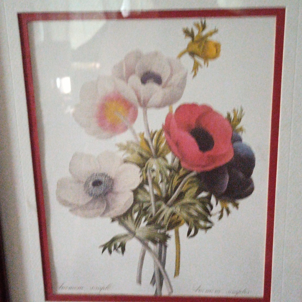 Meet your Posher, Marquies